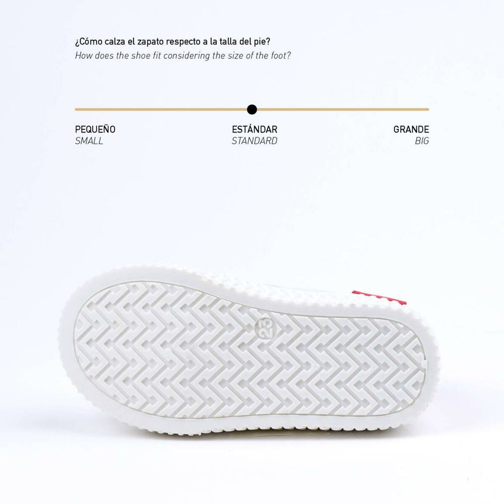 V6H03FDC5D66D66B5C327A348B660AE19F2R3928570P6