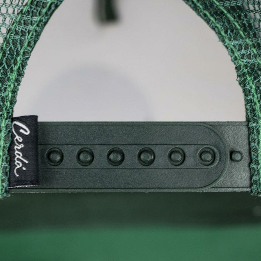 V4HCC2F38E641967DFBD62E98F091DC55F7R4555911P5